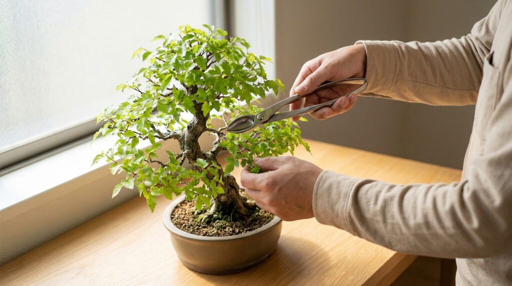 Une personne utilisant une pince spéciale pour tailler les feuilles vertes d'un bonsaï posé sur une table en bois.